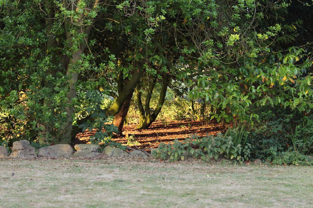Stamford Farmhouse Bed & Breakfast Alnwick Bilik gambar